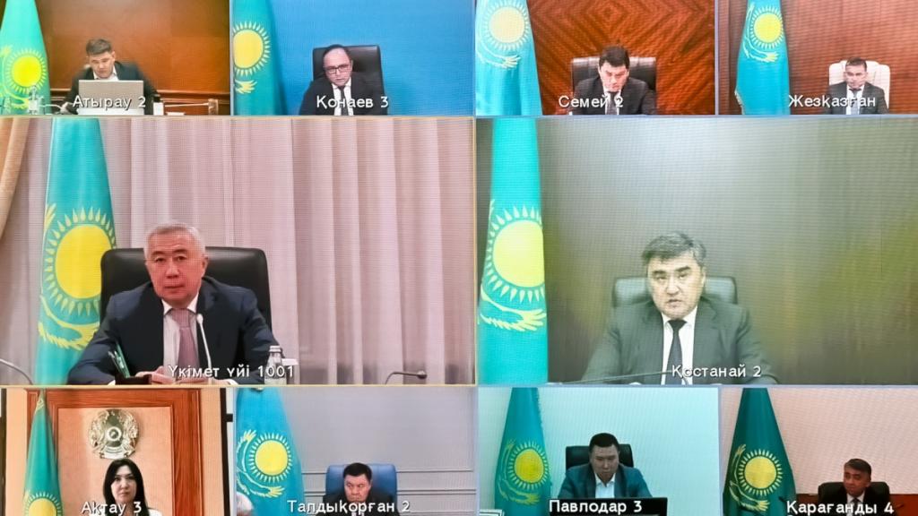 Мониторинг за миграцией саранчи усилят на приграничных с Россией районах Костанайской и Актюбинской областей
