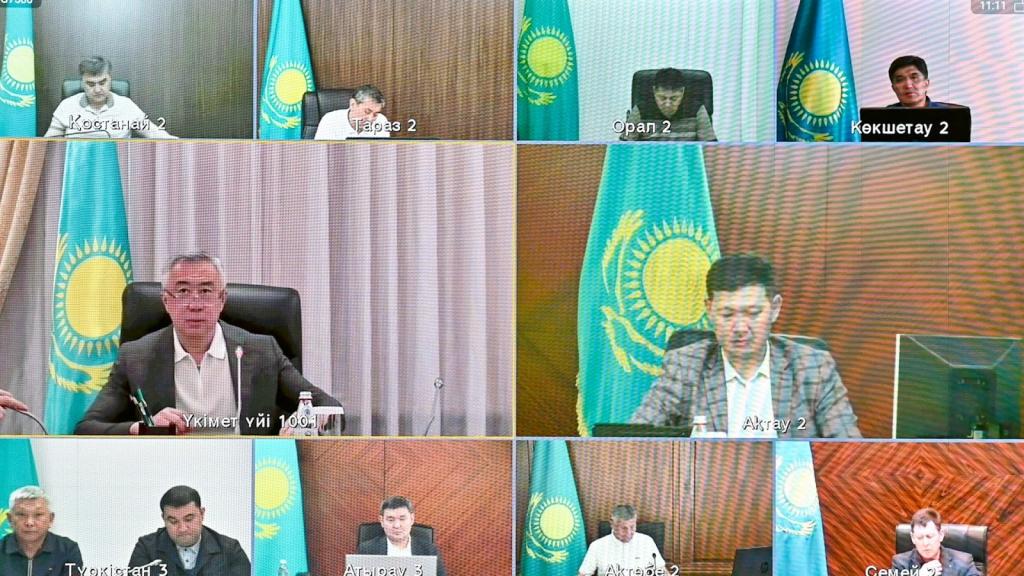 Борьба с саранчой: в Туркестанской области защитные мероприятия завершены