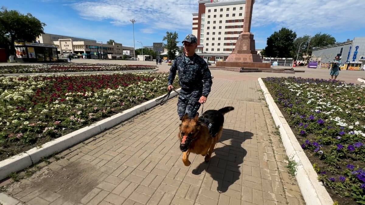 Более 200 преступлений помогли раскрыть служебные собаки в Акмолинской области