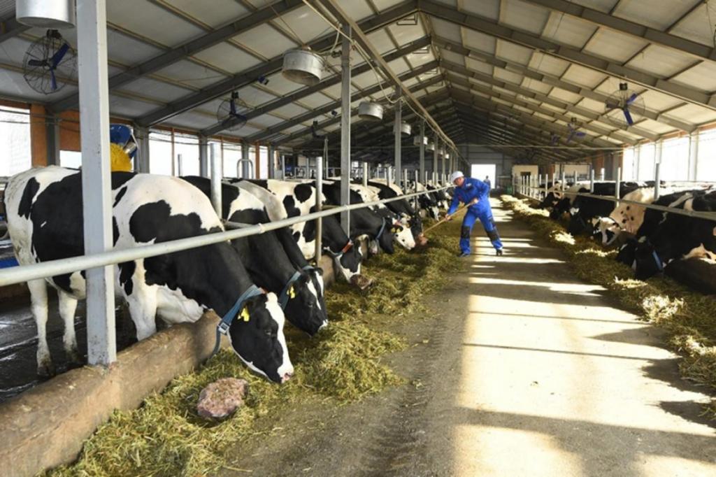 Проект по полной прослеживаемости животноводческой продукции по принципу от «фермы» до «стола» ведется МСХ РК