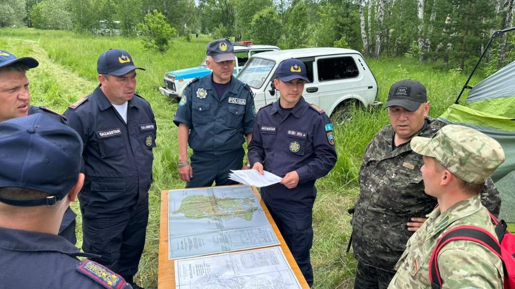 МЧС принимает меры для своевременного реагирования на лесные пожары