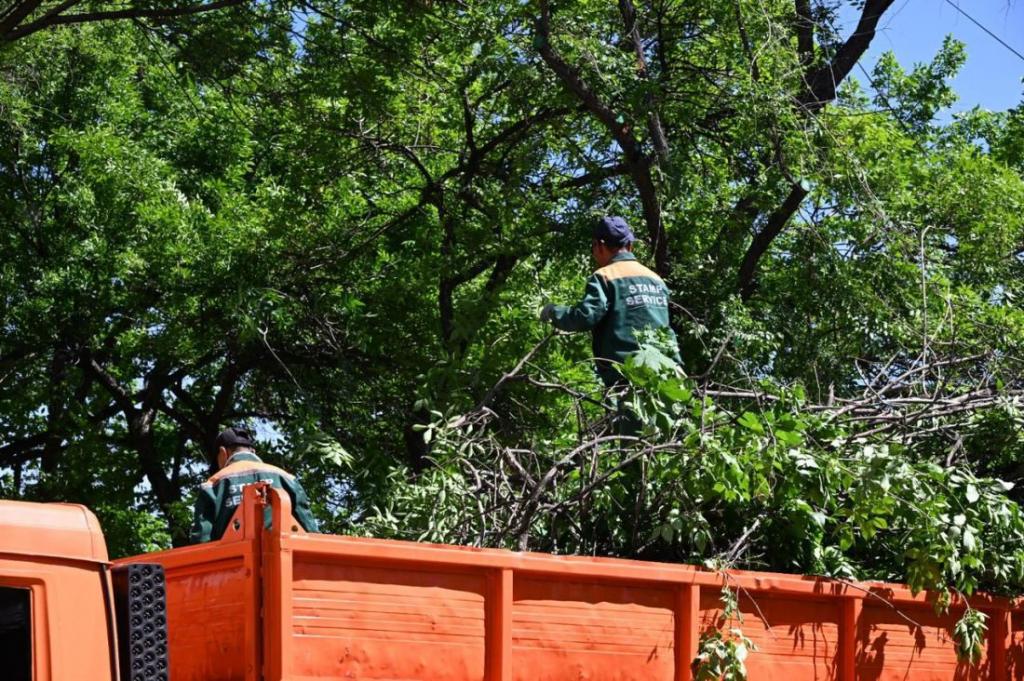 Более 15 тысяч тонн мусора вывезли из Алматы в ходе акции «Алматы Жазы»