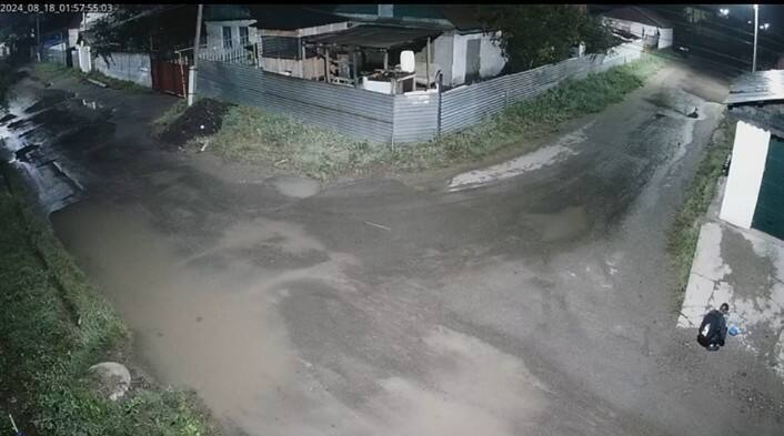 Автовора установили полицейские Астаны