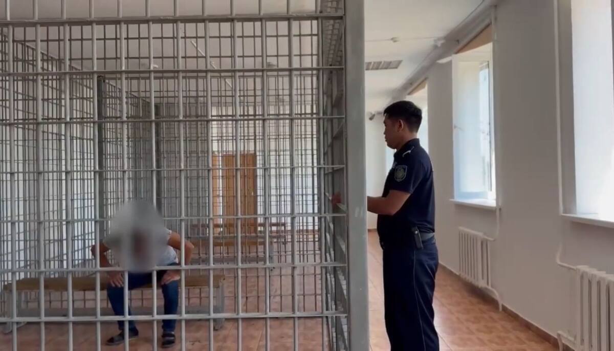 Дебошира задержали полицейские в Акмолинской области