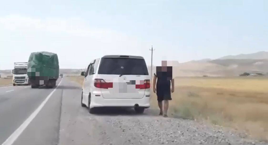 Водители на Toyota Alphard продолжают нарушать ПДД в Жамбылской области