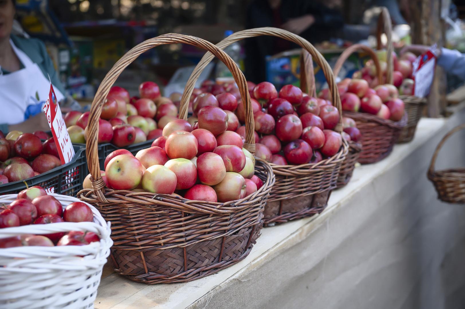 Фестиваль Apple Fest в Алматы: рекордный яблочный компот, концерт, ярмарка и кино
