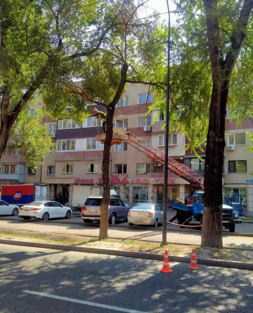 «Таза Казахстан»: в Алматы улучшают зеленый фонд