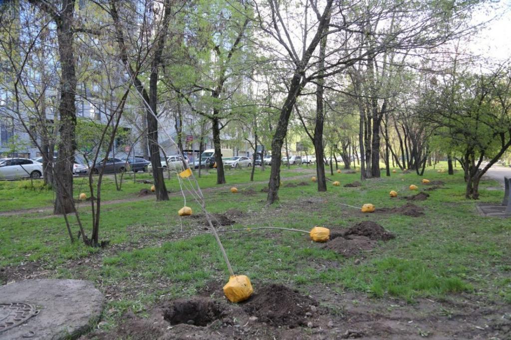 В Алматы продолжаются работы в рамках