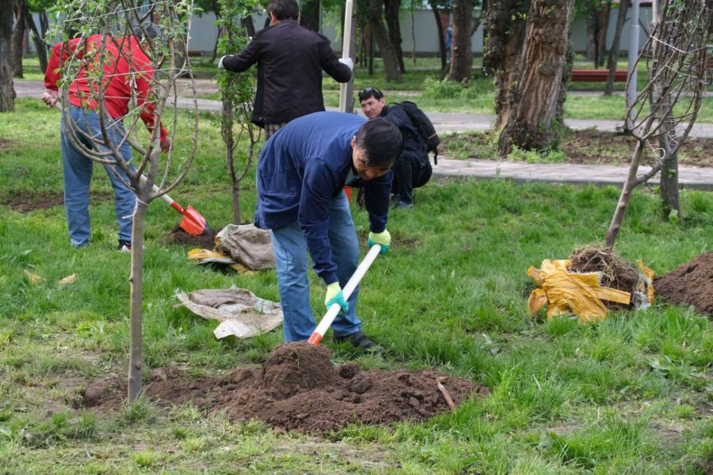 Акция «Зеленый двор»: где можно получить бесплатные саженцы алматинцам
