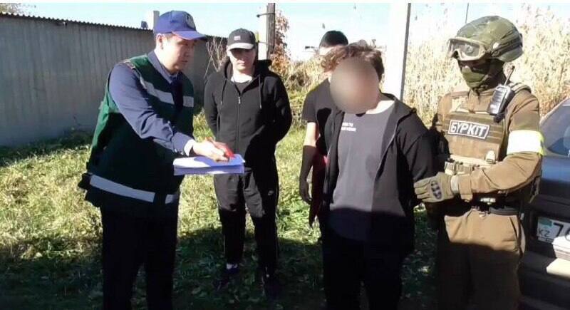 25-летний житель ВКО организовал на даче наркофитолабораторию