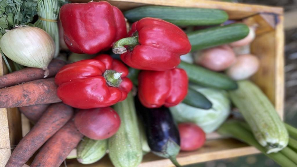 Продуктовый ритейл в Казахстане: анализ рынка и потребительские тренды