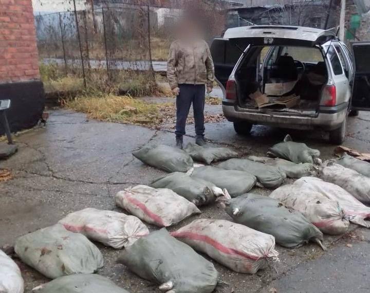 Крупный улов: житель ВКО незаконно перевозил более 200 кг рыбы