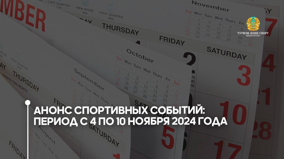 Анонс спортивных событий: период с 4 по 10 ноября 2024 года