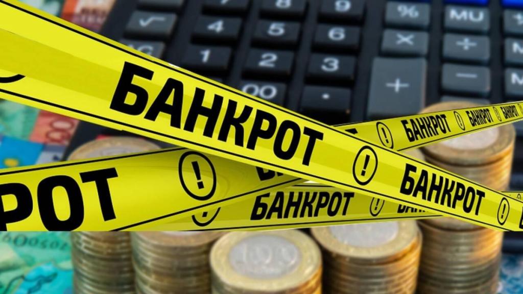 По 96 тыс. заявлений отказано в применении процедуры внесудебного банкротства — КГД