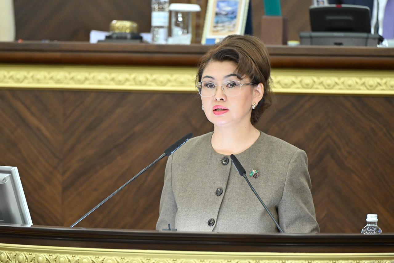 Законопроект, направленный на упрощение законодательного регулирования в сферах информации, общественного развития, культуры и архивного дела представлен в Мажилисе