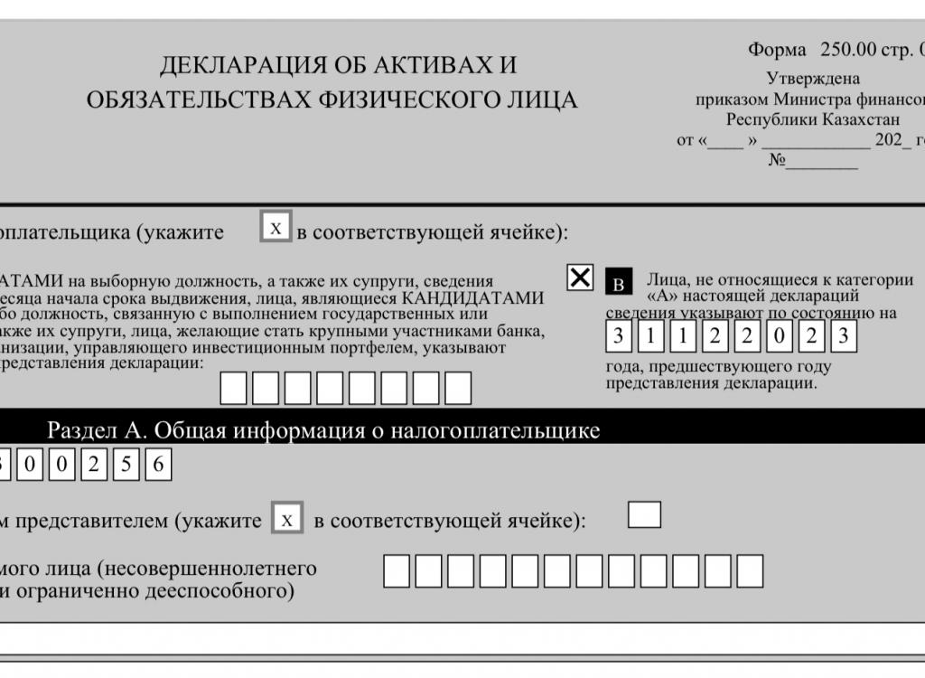 Срок подачи декларации истёк — казахстанцам, которые проигнорировали этот момент, заблокируют счета