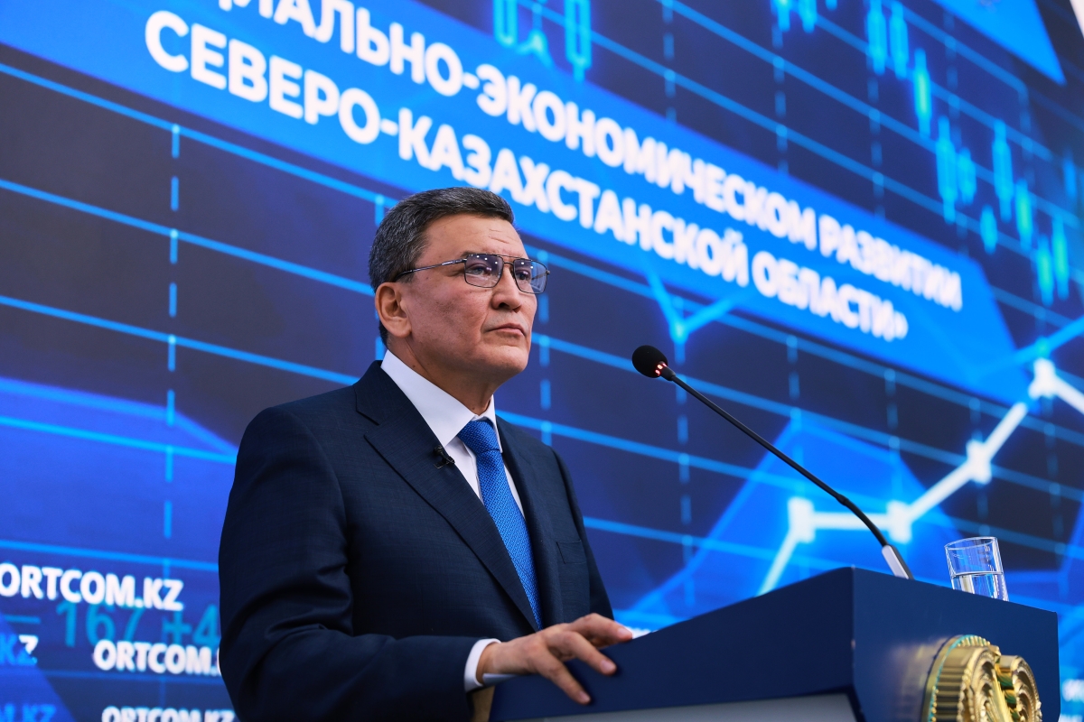 Промышленный пояс и тысячи рабочих мест. На территории СЭЗ «Қызылжар» создается деревообрабатывающий кластер