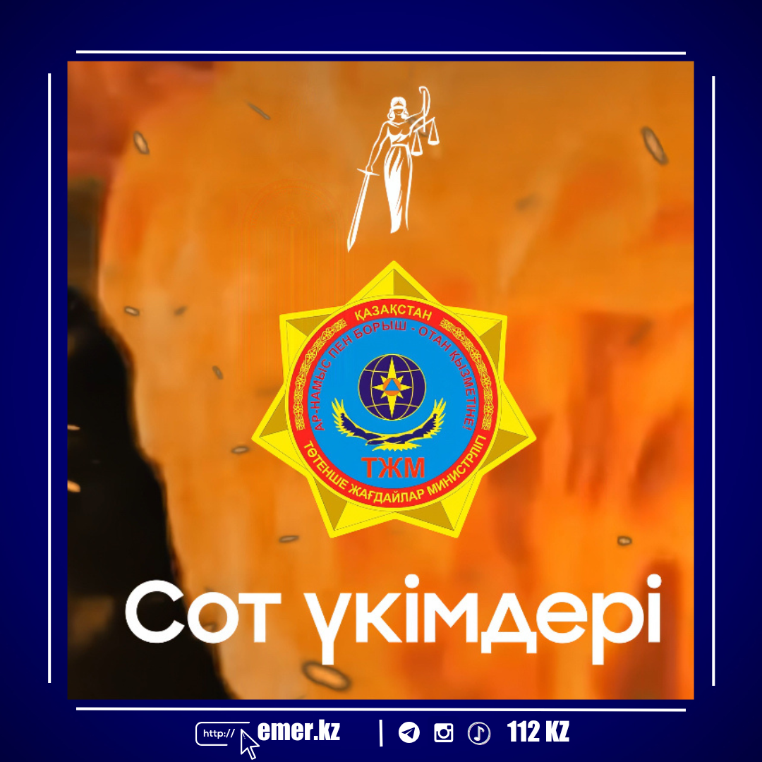 2024 ГОД В ЦИФРАХ И ФАКТАХ:  ПРИГОВОРЫ ЗА НАРУШЕНИЕ ПОЖАРНОЙ БЕЗОПАСНОСТИ