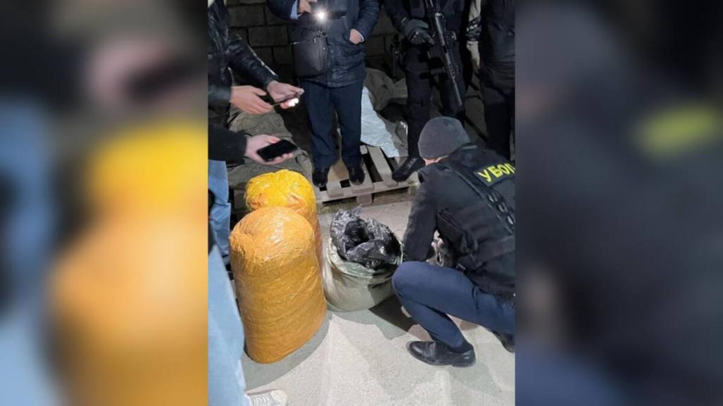 Около 500 наркоправонарушений выявлено в прошлом году в Мангистауской области