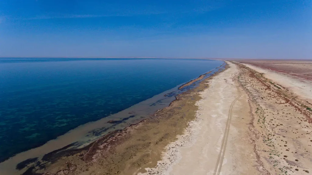 Северный Арал восстанавливается: миллиарды кубометров воды и масштабное озеленение спасают экосистему