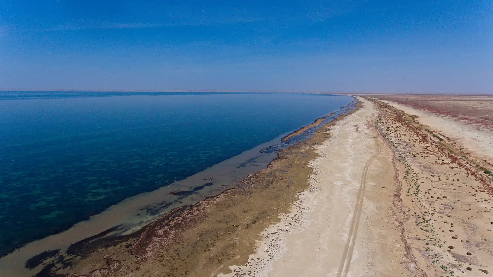 Северный Арал восстанавливается: миллиарды кубометров воды и масштабное озеленение спасают экосистему