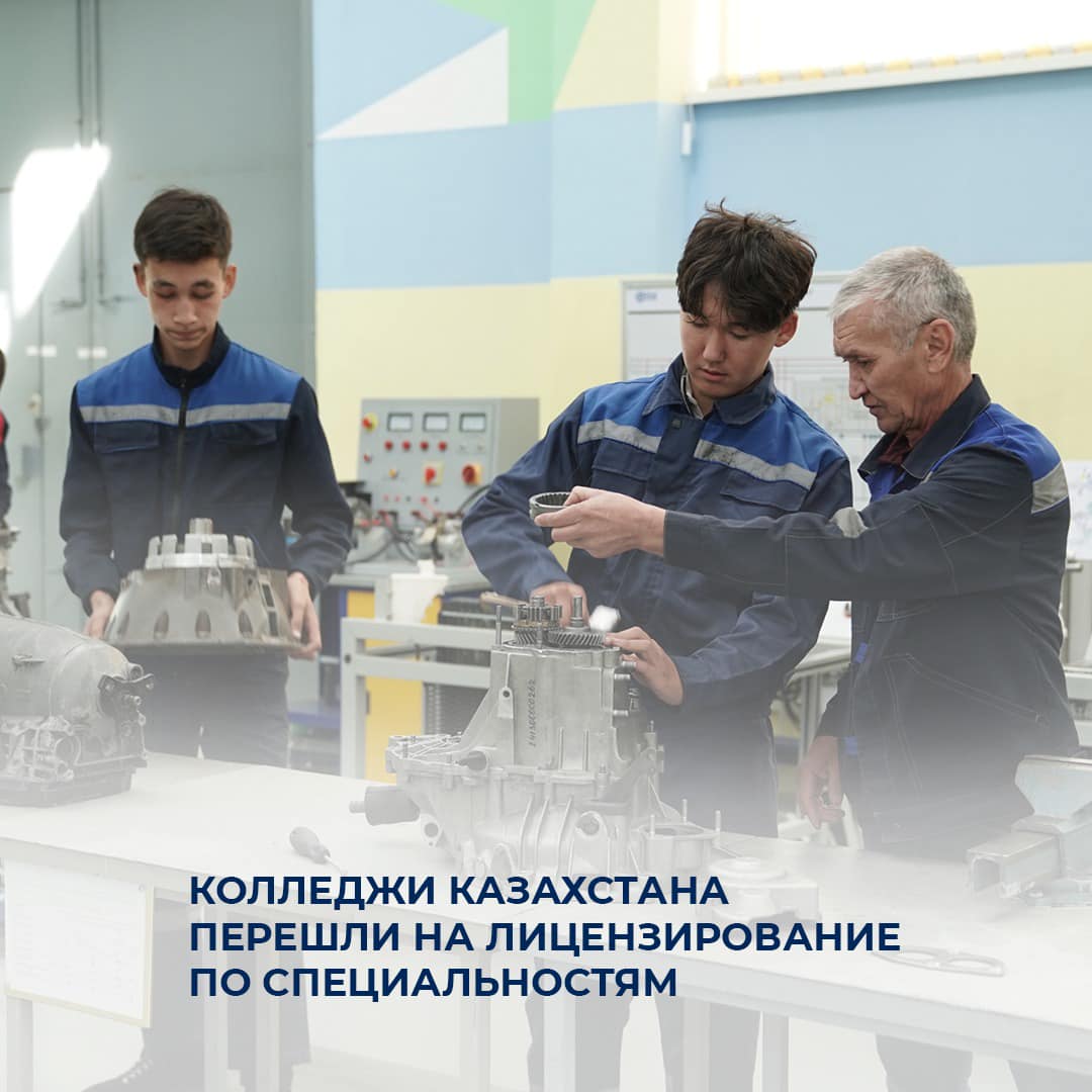 Новая система лицензирования в образовании: более 200 организаций уже получили лицензии