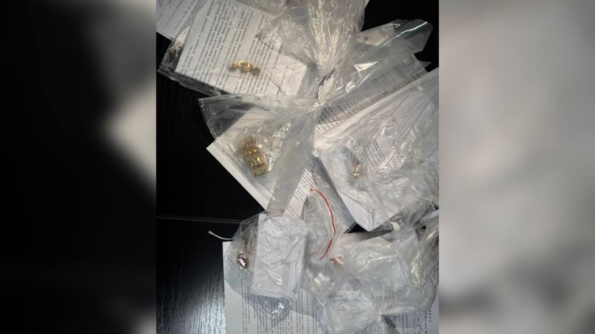 A criminal group of apartment burglars has been apprehended in Karaganda