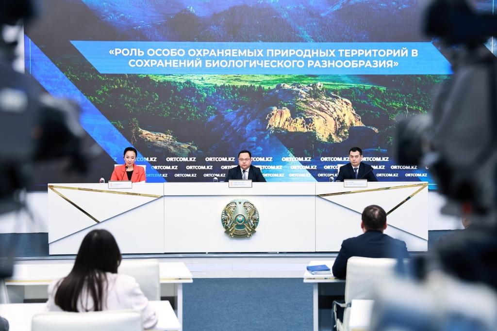 180 снежных барсов обитает в Казахстане