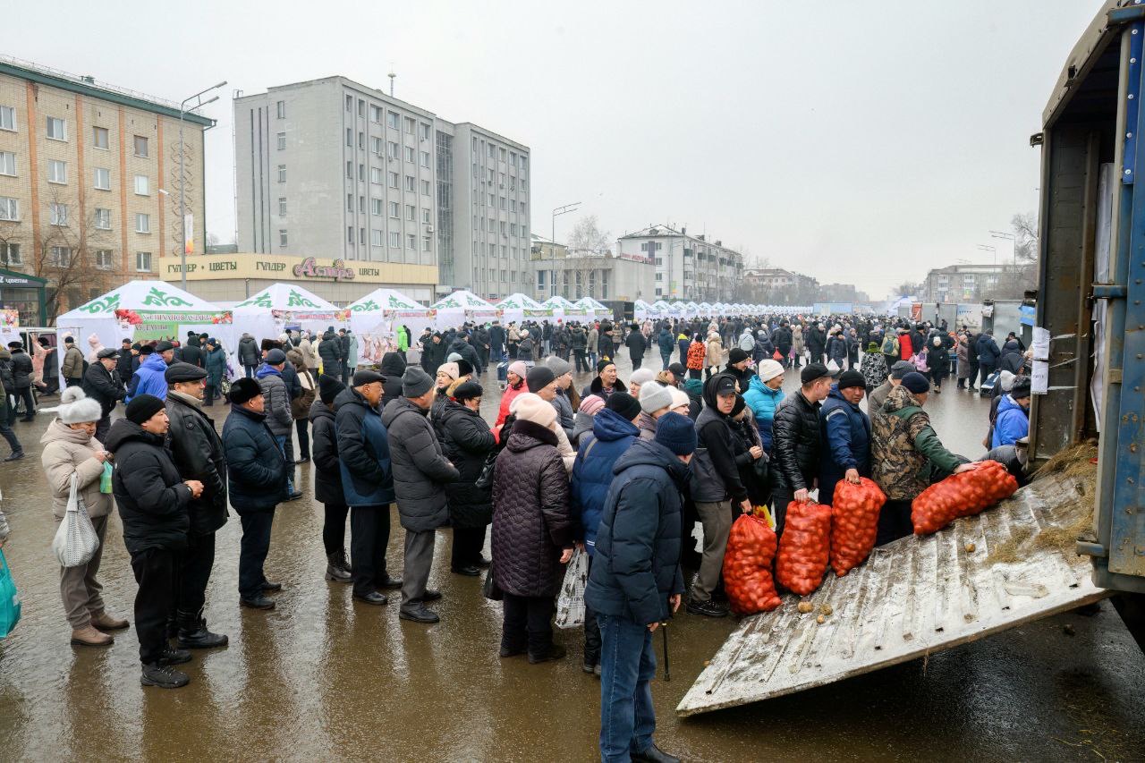 Свыше 500 тонн реализовали на весенней ярмарке в СКО