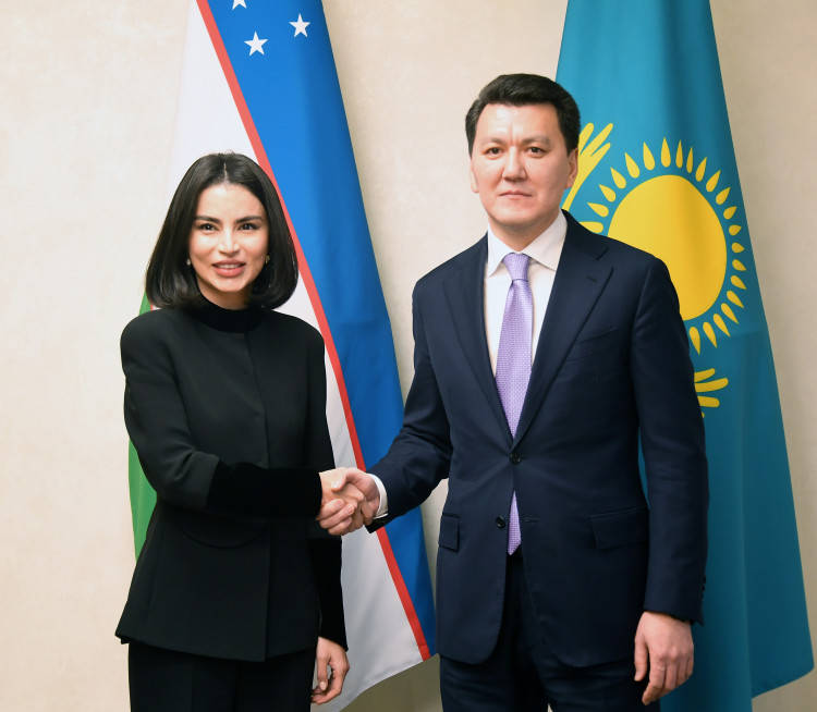 Государственный советник Ерлан Карин провел встречу с помощником Президента Республики Узбекистан Саидой Мирзиёевой
