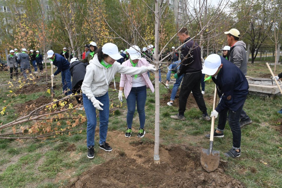 «Алматыны одан әрі көркейте түсеміз»: ауқымды жалпықалалық науқан 1 наурызда басталады
