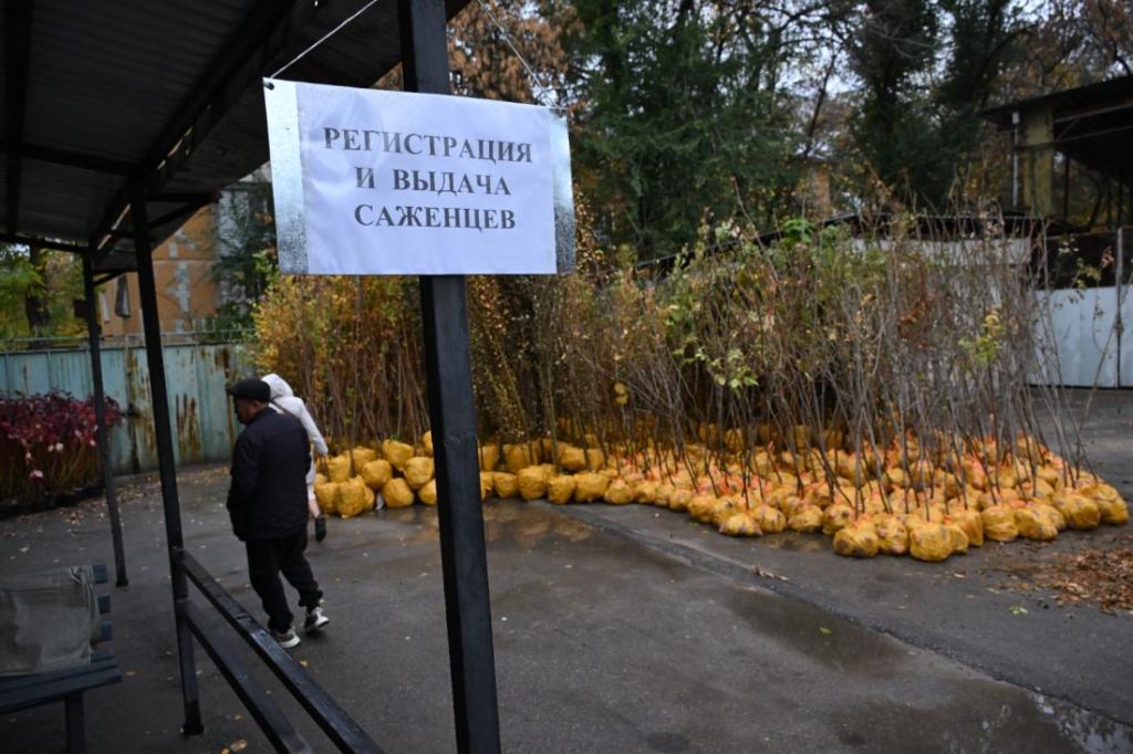 Акция «Зеленый двор»: где можно получить бесплатные саженцы алматинцам