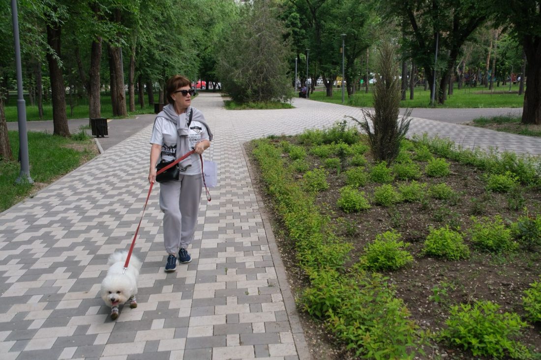 Все владельцы домашних животных в Алматы должны соблюдать правила выгула и транспортировки своих питомцев