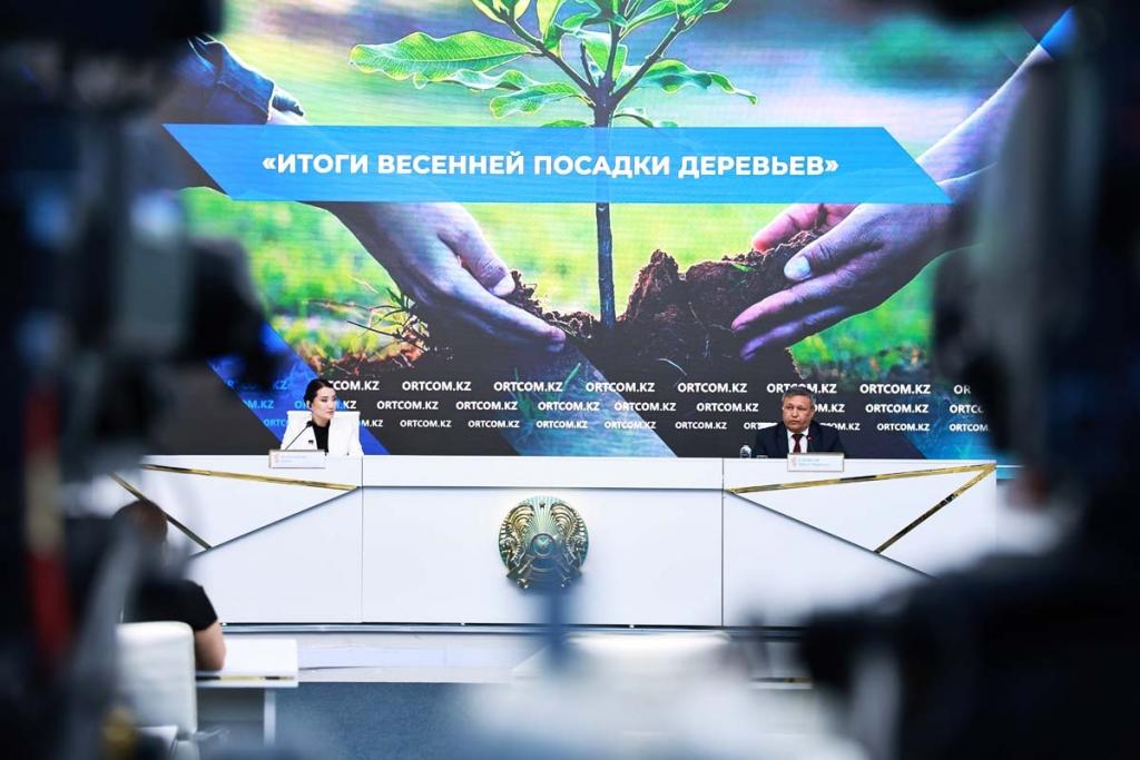 Минэкологии: более 1 млрд деревьев посажено по республике
