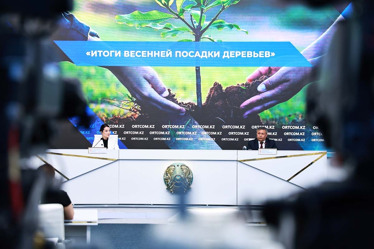 Минэкологии: более 1 млрд деревьев посажено по республике