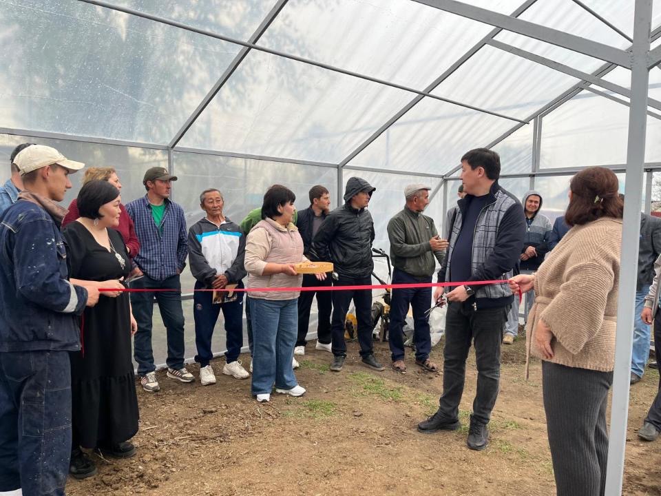 Гранты для сельских предпринимателей: как проект «Batys AgroHub» помогает развивать тепличное хозяйство