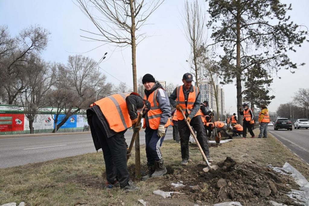 В акимате Бостандыкского района объяснили, почему работы по озеленению проспекта аль-Фараби не проводятся ночью