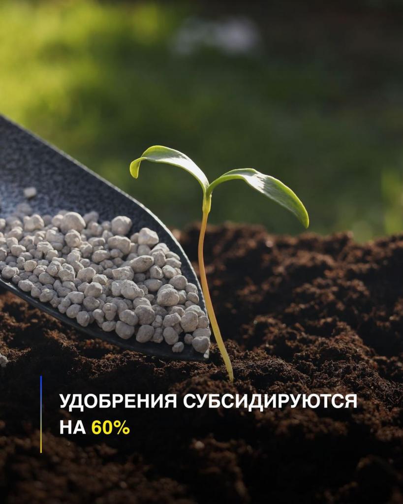 В ОБЛАСТИ ҰЛЫТАУ УДОБРЕНИЯ СУБСИДИРУЮТСЯ НА 60%