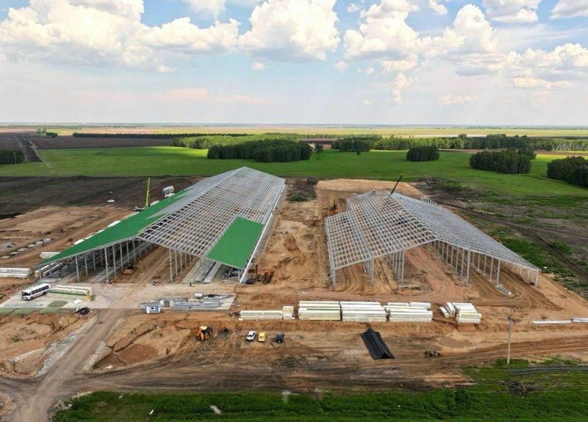 Строительство крупнейшего животноводческого комплекса на 8000 голов КРС продолжается в СКО