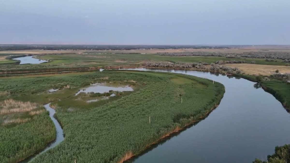 Более 1,5 млрд кубометров воды направлено по реке Шу в Созакский район Туркестанской области