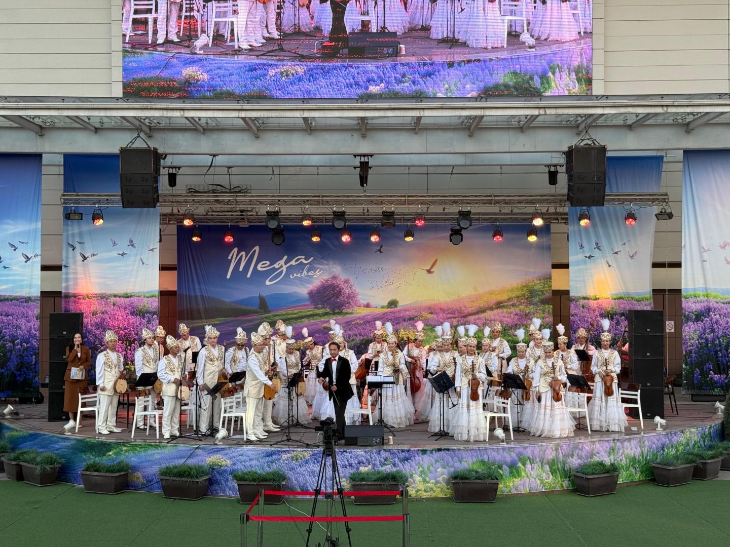 Национальный день домбры встретили в Алматы
