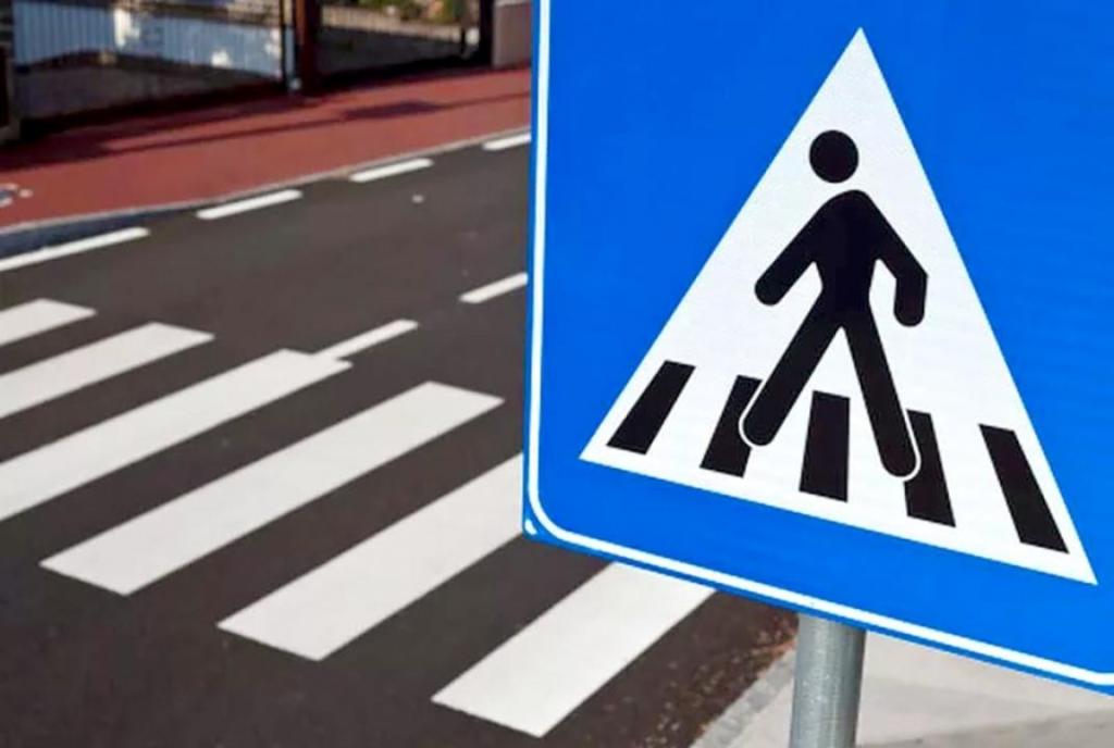 МВД предлагает сделать уроки ПДД обязательным предметом в школах