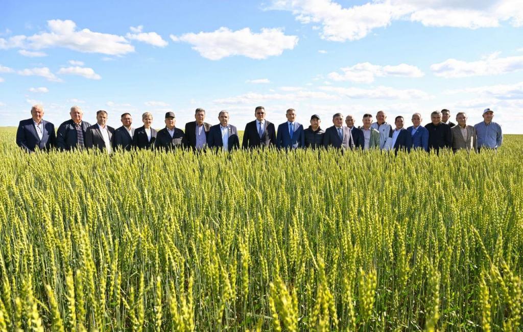 В СКО прошло День поля 2025