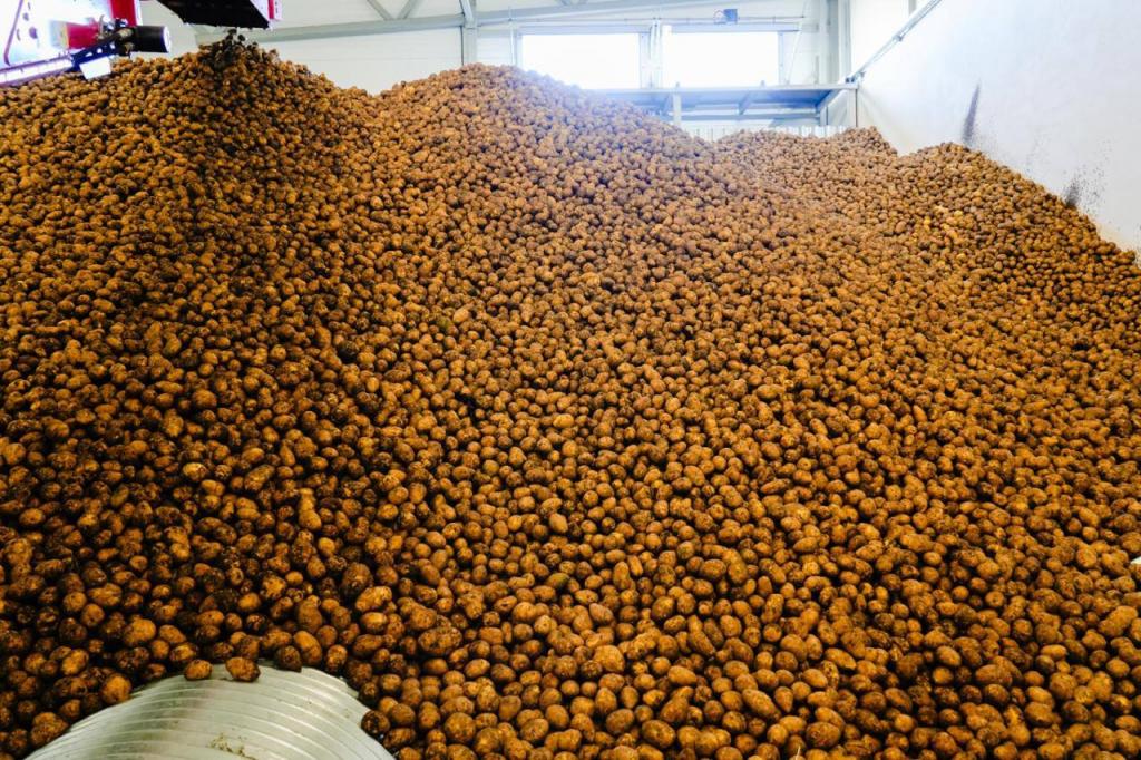 Какая работа по стабилизации цен на продукты ведется в Астане