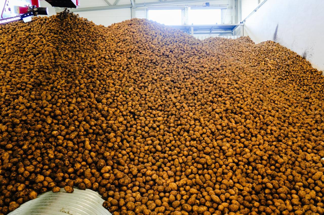 Какая работа по стабилизации цен на продукты ведется в Астане