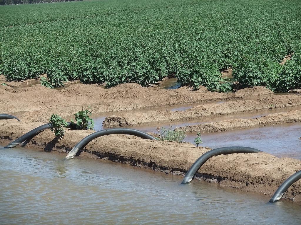На 17,8 млн тенге оштрафованы поставщики поливной воды, нарушившие права потребителей