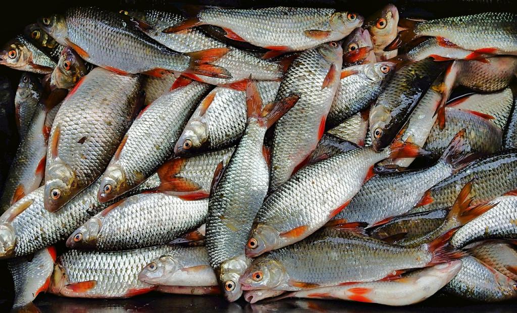 Комплекс по переработке рыбной продукции будет построен в ВКО