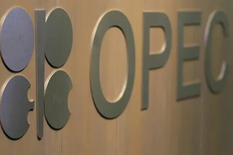 До 400 млн долларов США направит на казахстанские проекты фонд OPEC до 2030 года