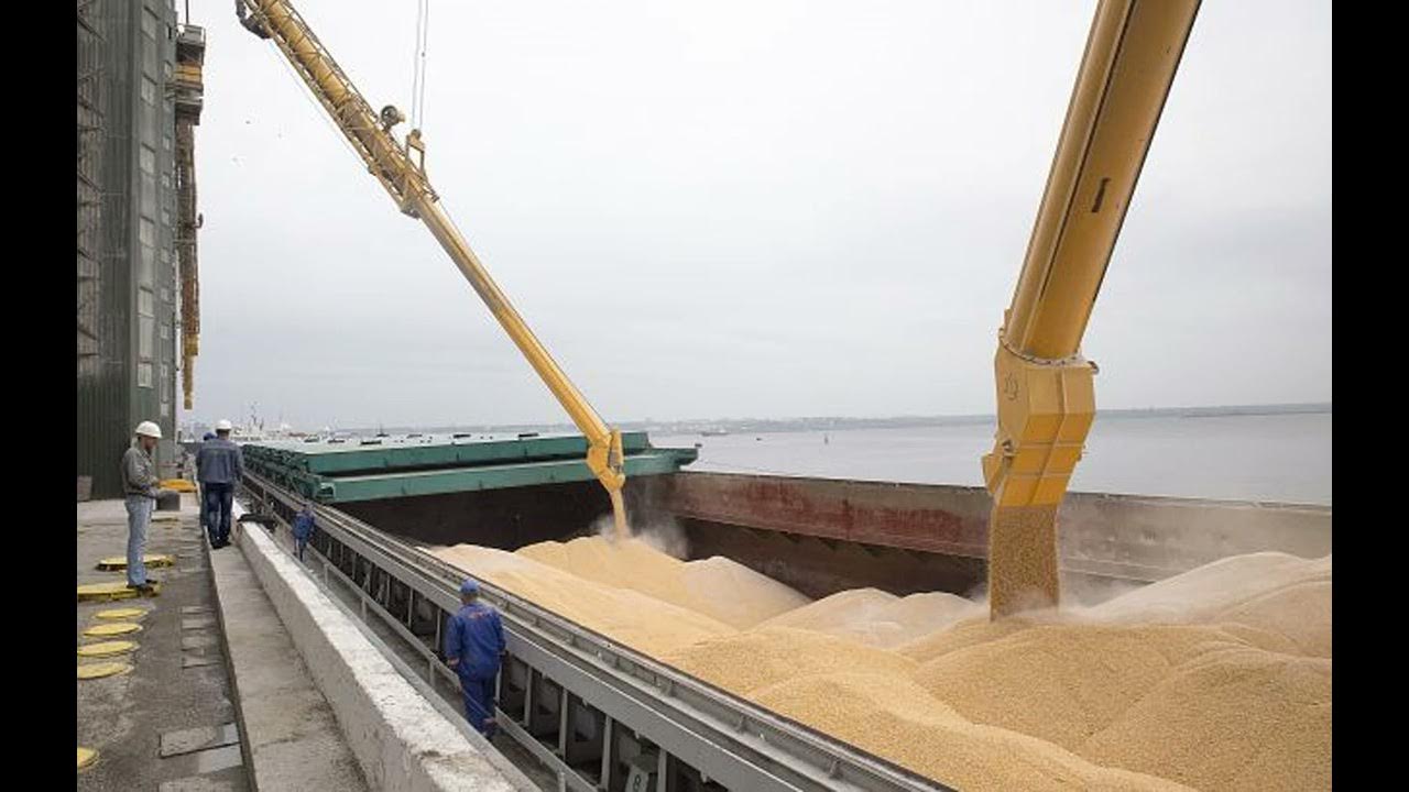 Ранняя отгрузка зерна нового урожая позволит экспортерам в начале следующего года получить субсидии