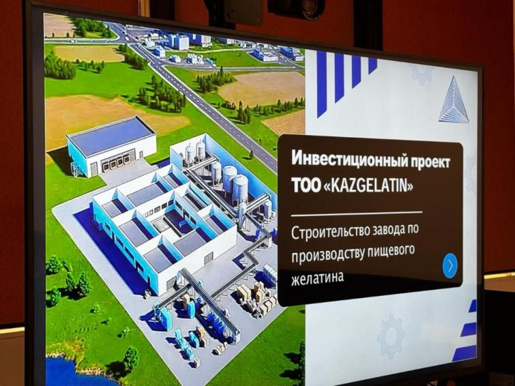 В Казахстане построят завод по производству пищевого желатина мощностью 10 тыс. тонн в год